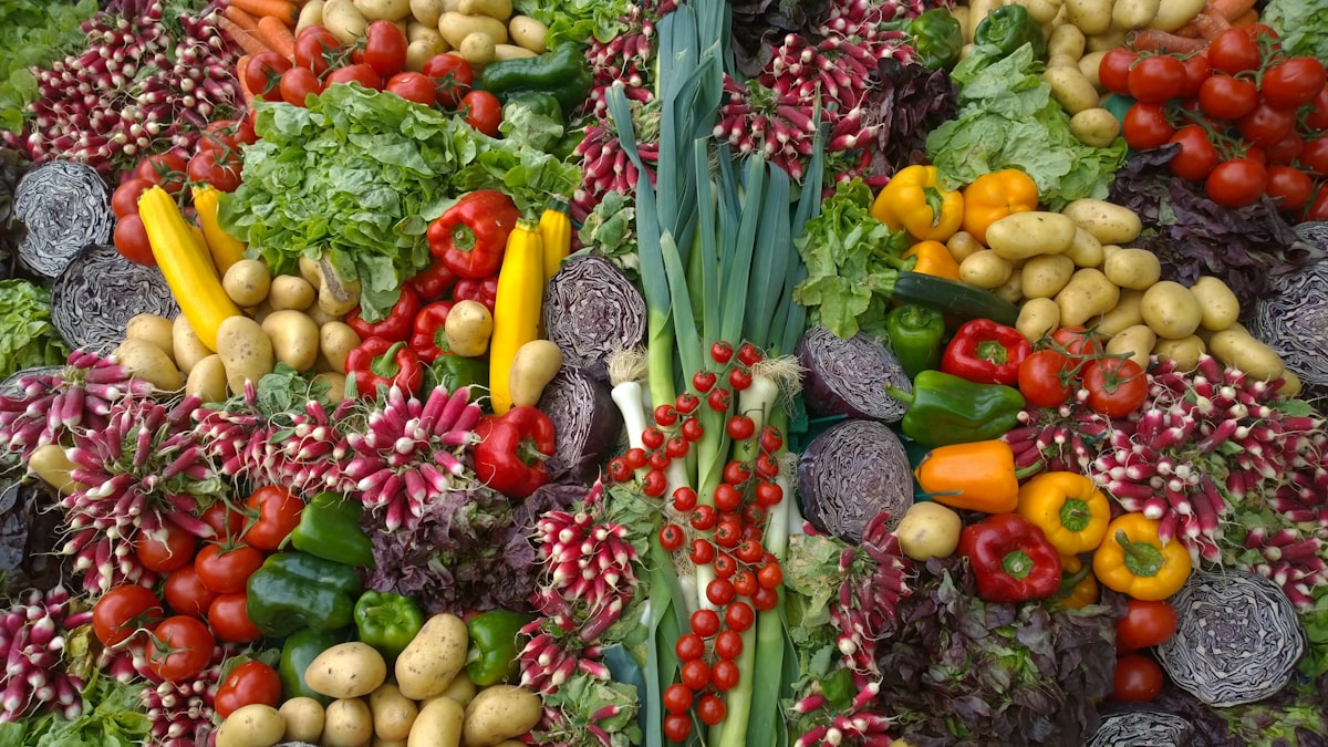 Alimentación equilibrada y nutrición consciente
